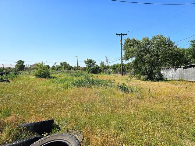 a view of a yard with an trees and plants