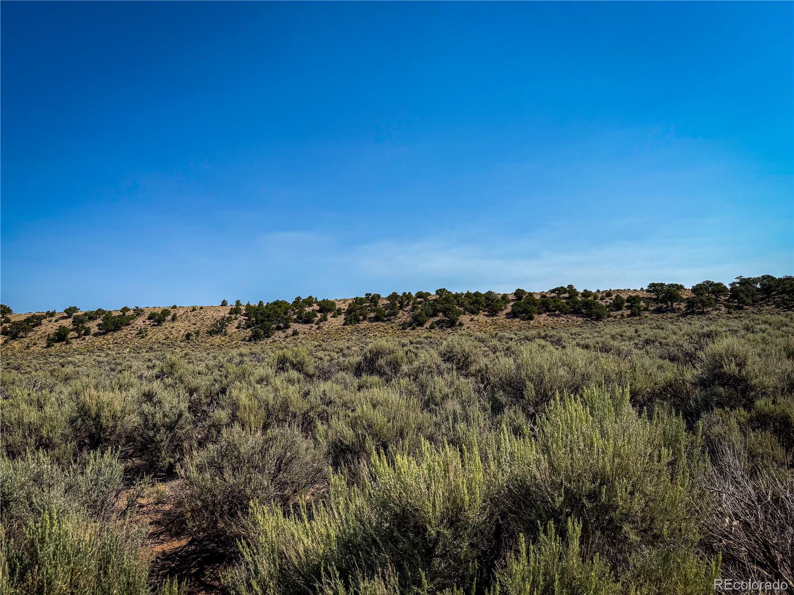 0 Reuben Road Fort Garland, CO 81133 - Photo 3 of 20 Gallery Image 3