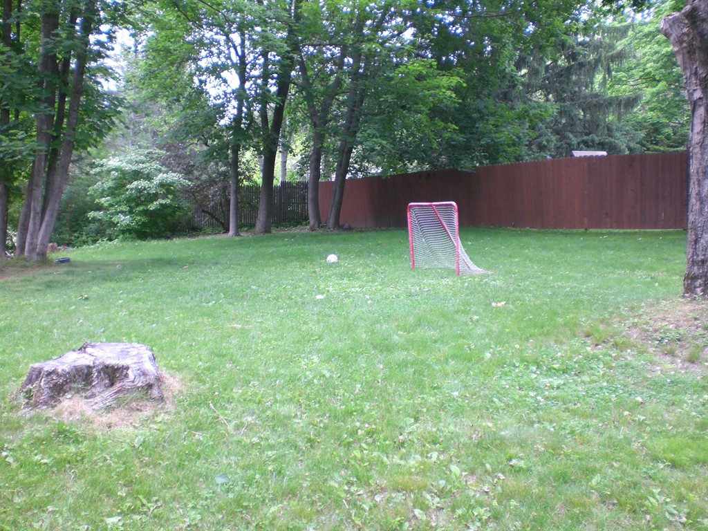 3 Oakham Road North Brookfield, MA 01535 - Photo 4 of 24 a backyard of a house with lots of green space