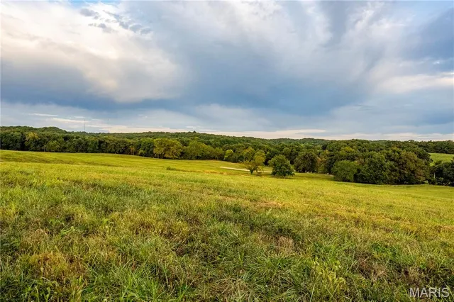 $1,080,800 | 0 Highway D - Tract 1 (77.2 /- Acres) Eolia Mo 63344, Eolia, MO 63344