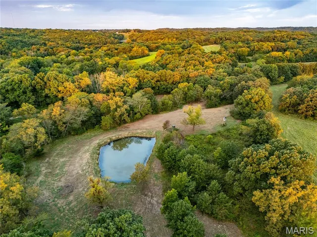 $1,080,800 | 0 Highway D - Tract 1 (77.2 /- Acres) Eolia Mo 63344, Eolia, MO 63344