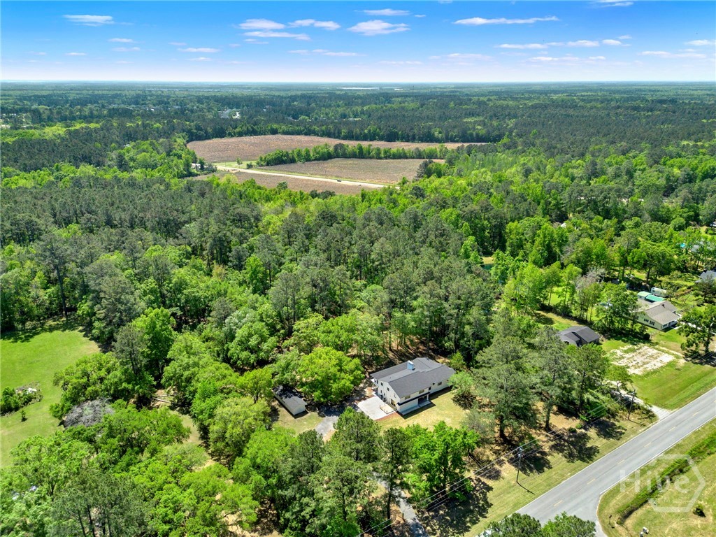 305 Kolic Helmey Road Guyton, GA 31312 - Photo 54 of 65