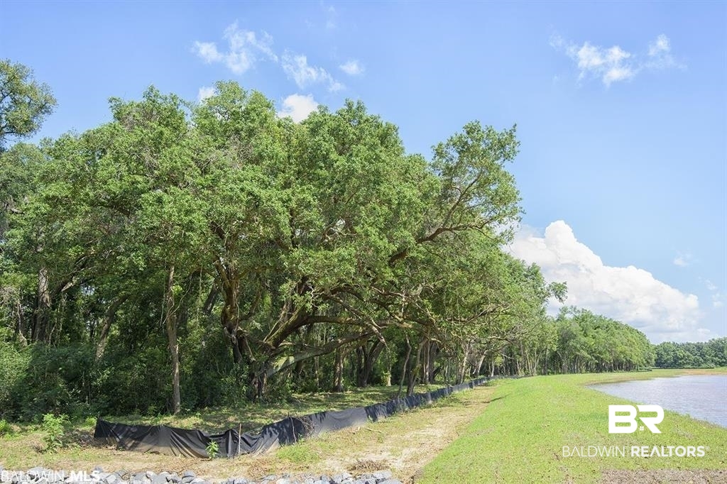 Lot 11 Vernant Park Road Foley, AL 36535 - Photo 3 of 4 Exterior space