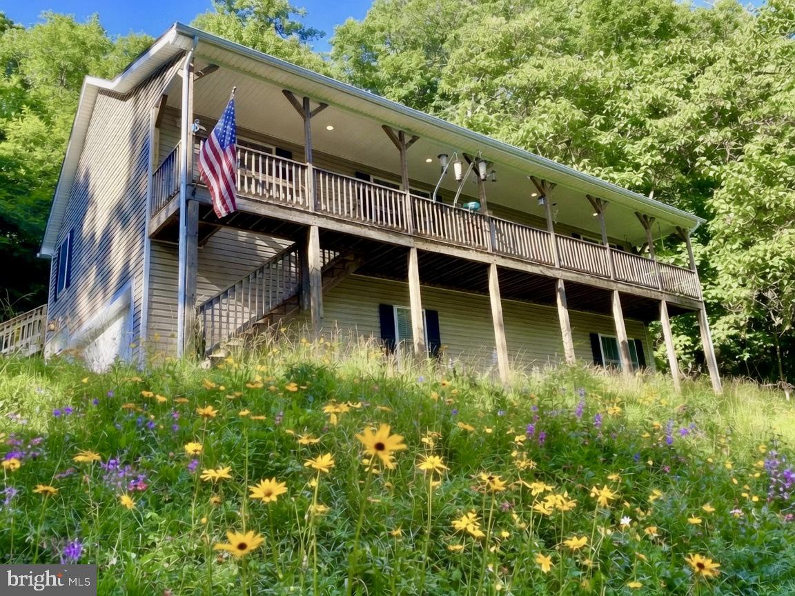 1157 Granny Smith Road Linden, VA 22642 - Photo 2 of 44