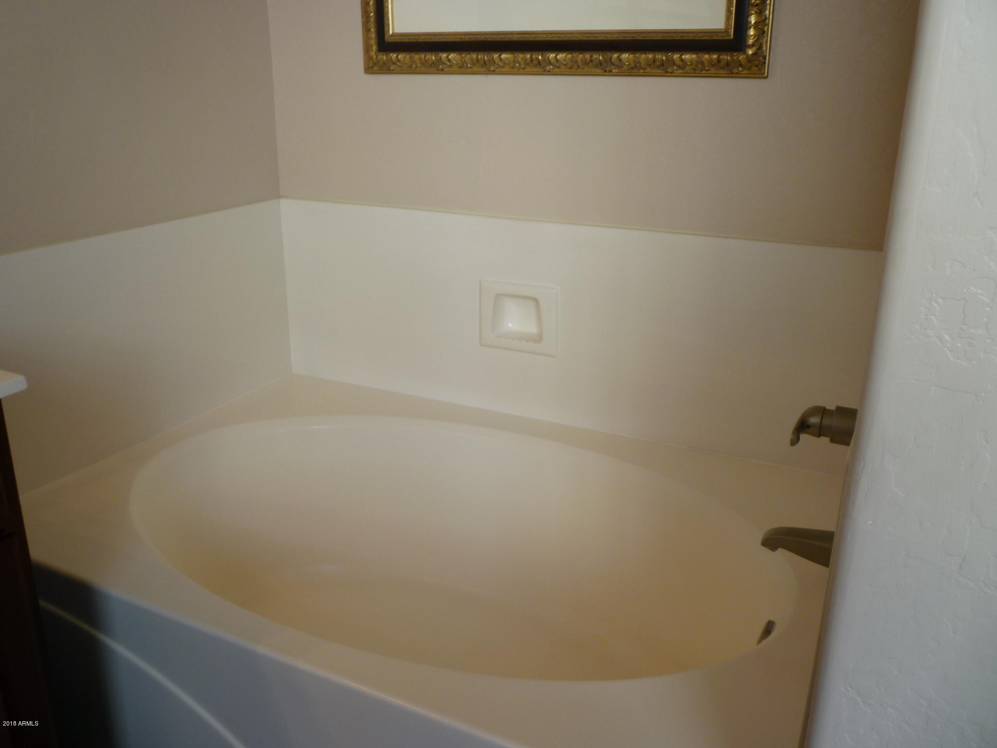 1210 East Pedro Road Phoenix, AZ 85042 - Photo 31 of 74 GARDEN TUB