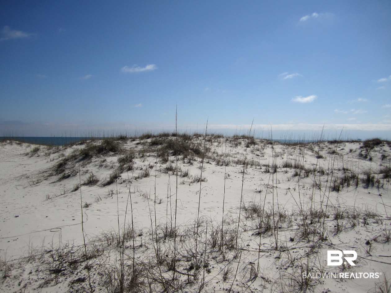 Brandt Lane Gulf Shores, AL 36542 - Photo 6 of 22 View of Lot