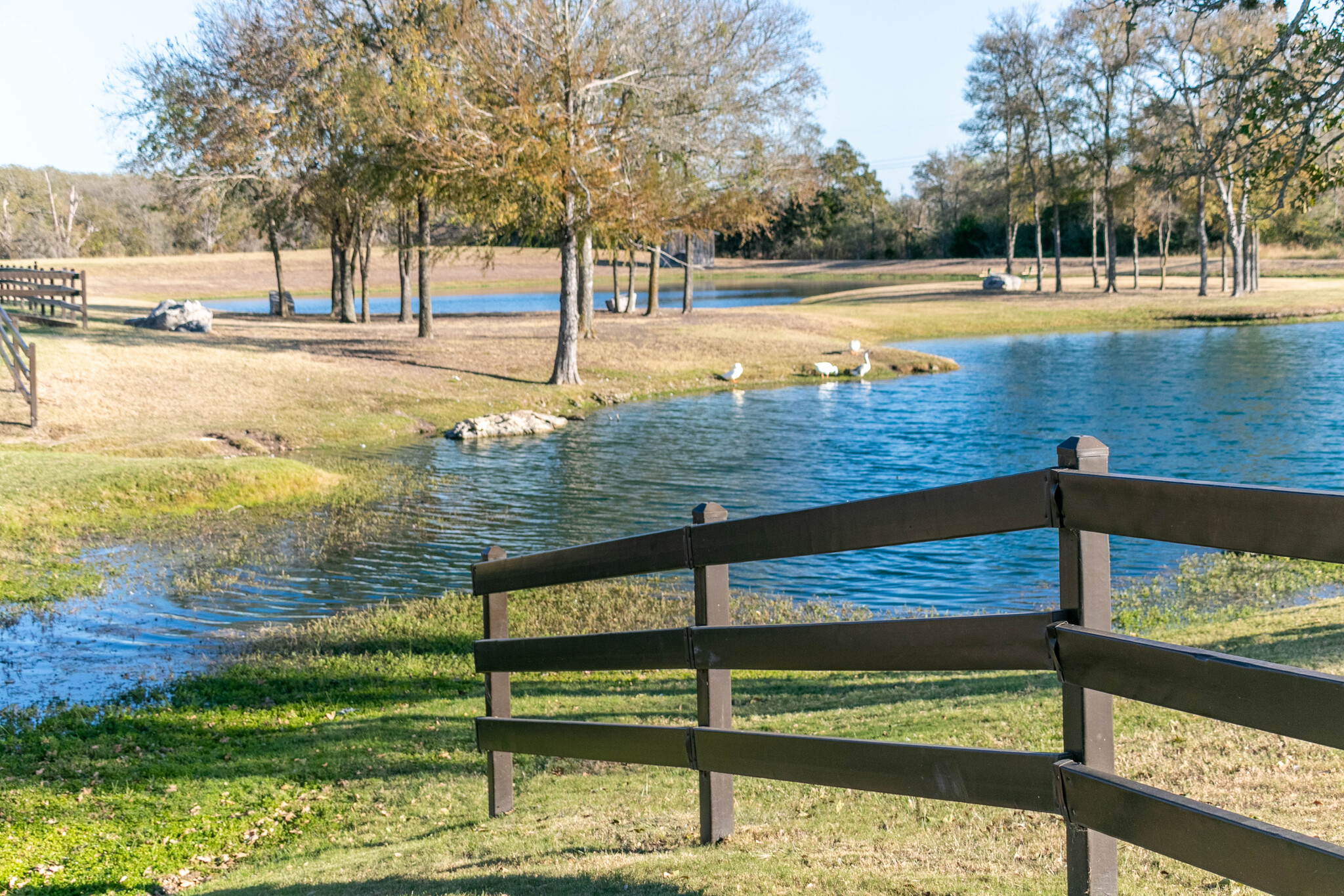 165 Maddy Way Bastrop, TX 78602 - Photo 11 of 23 a view of a swimming pool with a patio