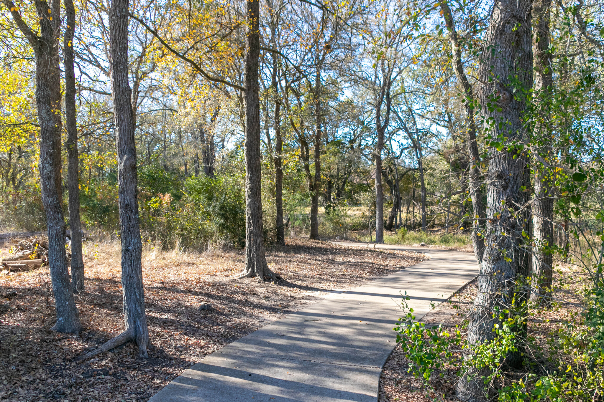 165 Maddy Way Bastrop, TX 78602 - Photo 19 of 23 a view of a yard with trees