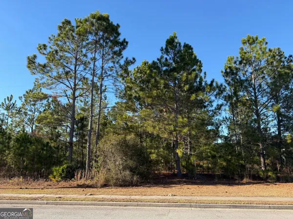 $220,000 | 0 Weeping Willow Drive, Hinesville, GA 31313