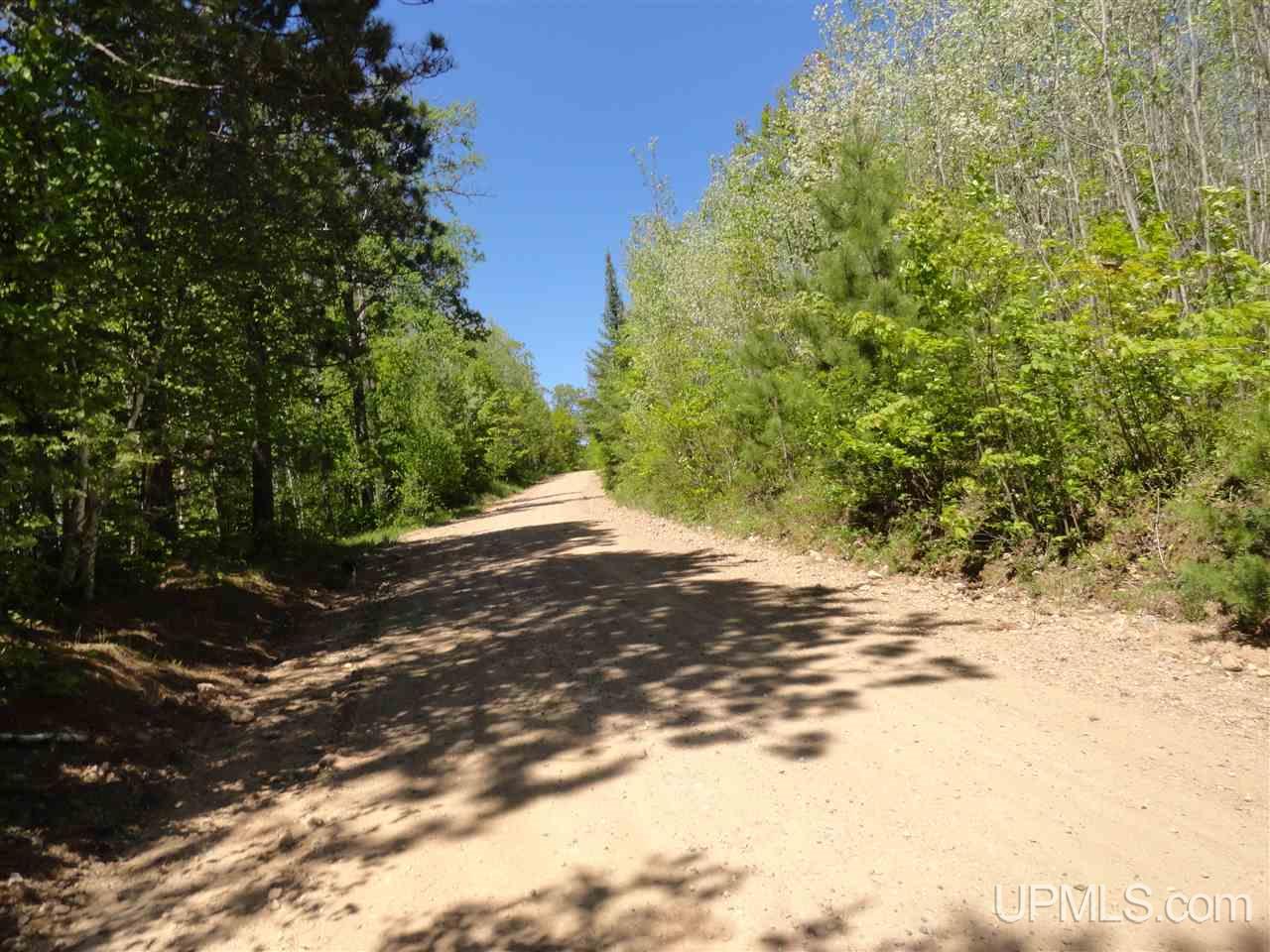 40 Two 2 Mile Creek Road Channing, MI 49815 - Photo 3 of 15