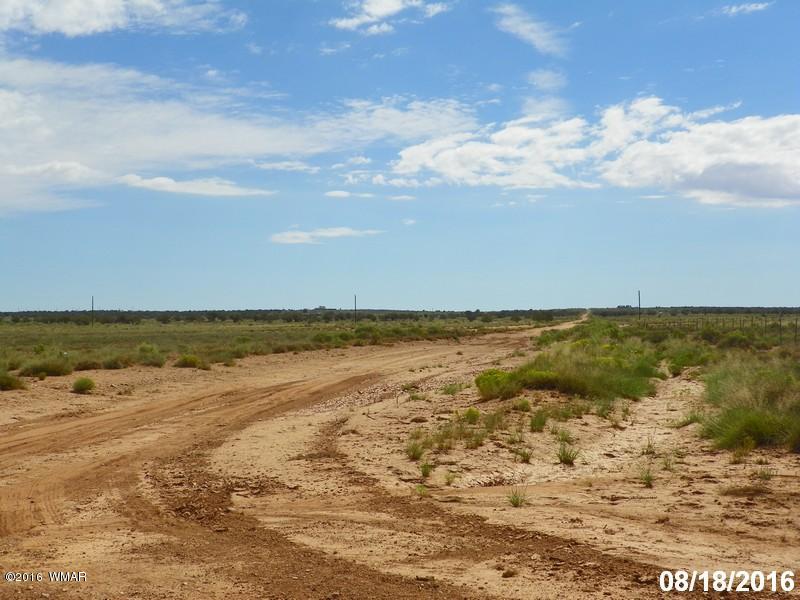8299 Nutt Lane Snowflake, AZ 85937 - Photo 28 of 28 a view of an ocean