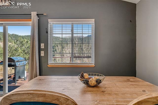 20 Spur Road Divide, CO 80814 - Photo 11 of 34 Gallery Image 11