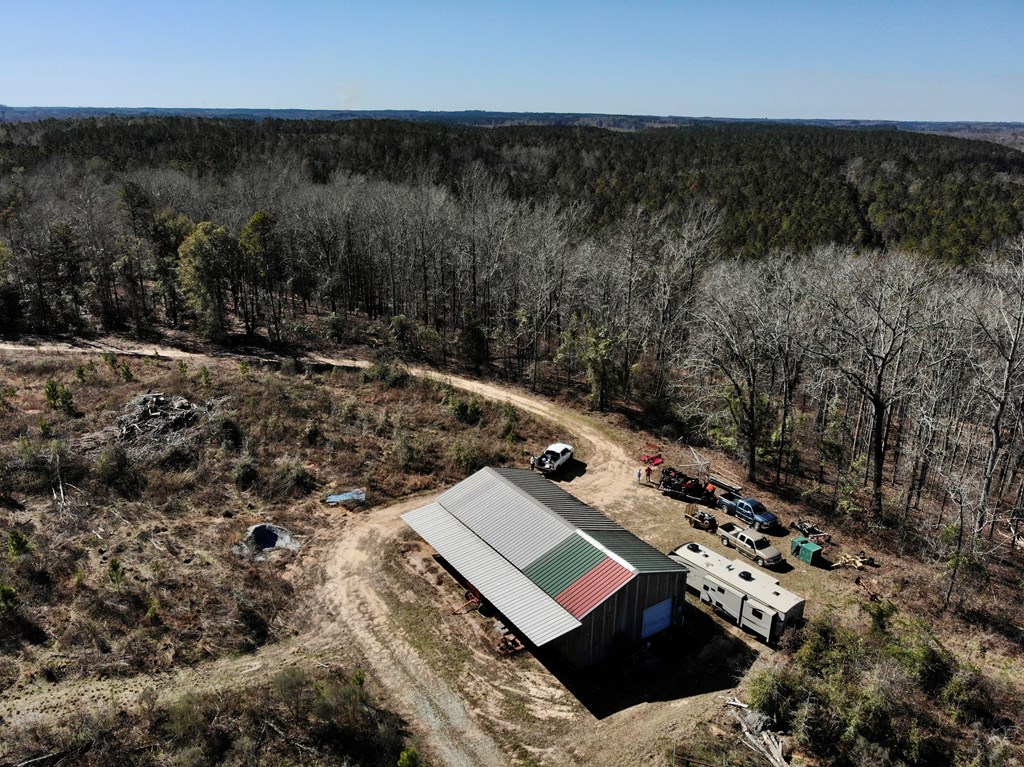 0 County Road 97 Abbeville, AL 36310 - Photo 6 of 53