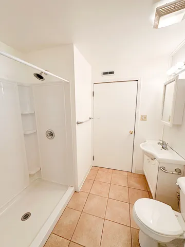 a bathroom with a shower and a toilet
