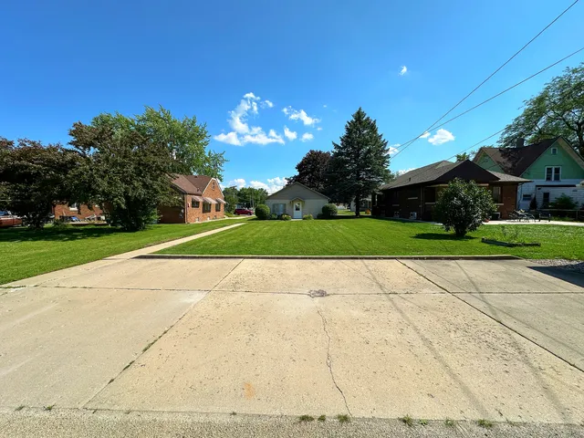 a view of a yard with plants and palm trees