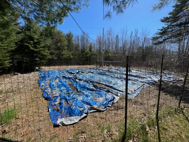17 Carlisle Road Surry, ME 04684 - Photo 56 of 60 IMG_8980