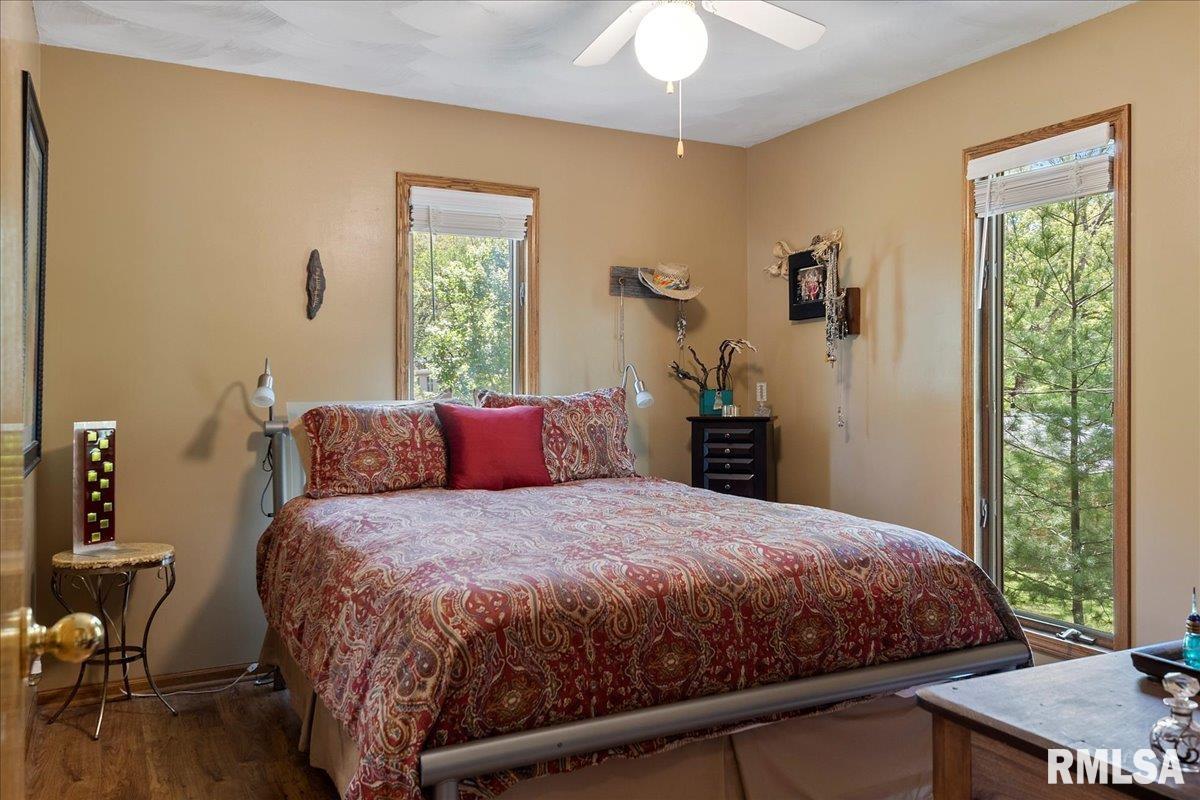 242 Stephenson Lane Dawson, IL 62520 - Photo 26 of 62