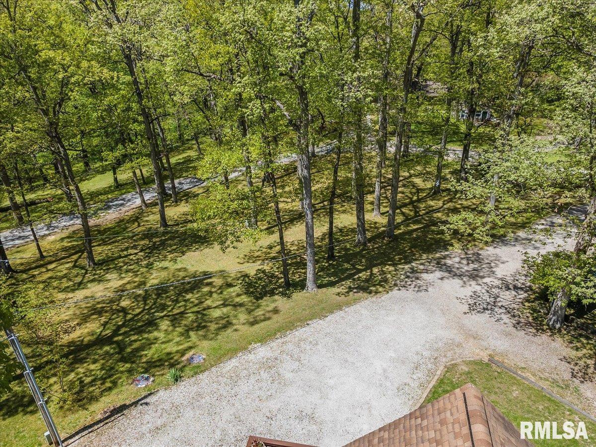 242 Stephenson Lane Dawson, IL 62520 - Photo 41 of 62