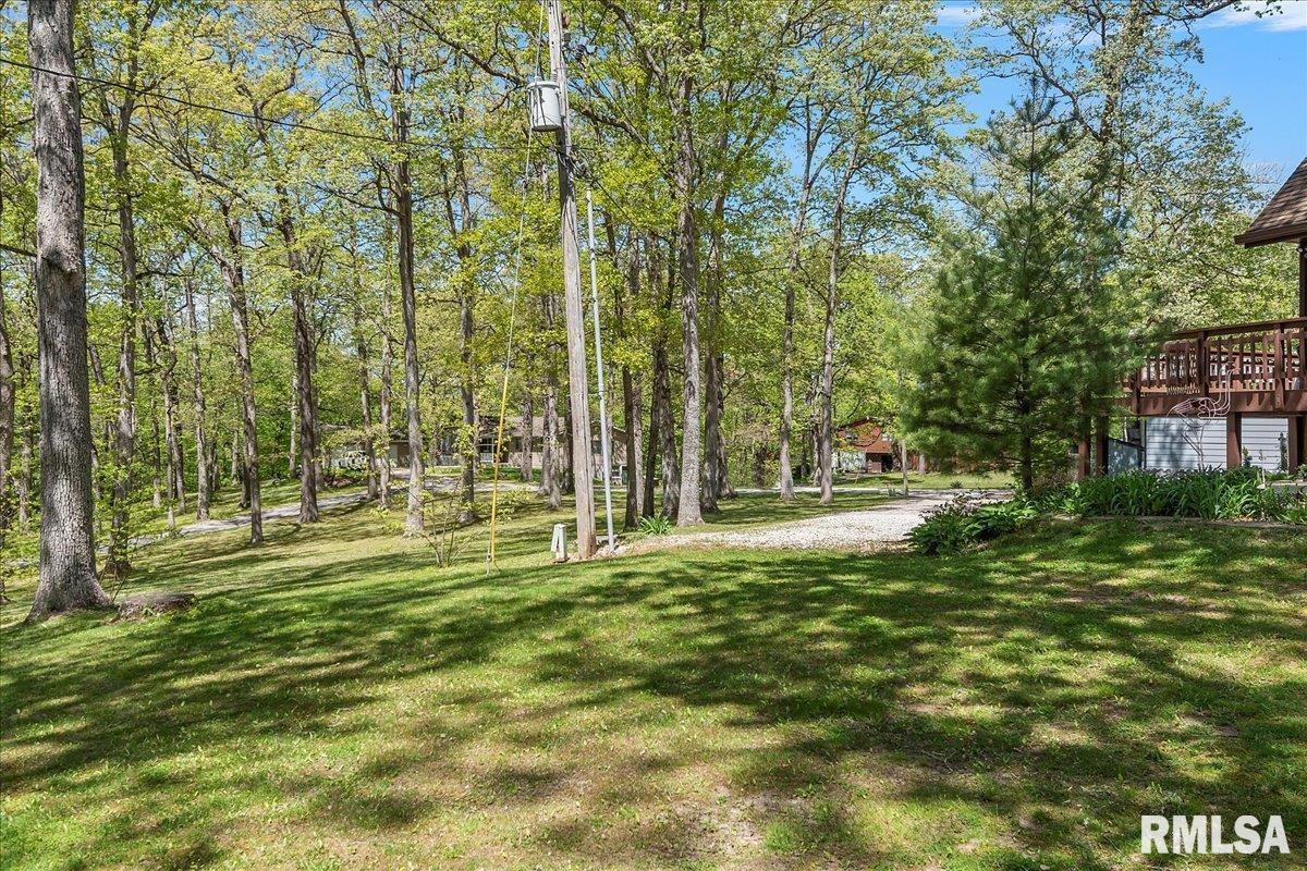 242 Stephenson Lane Dawson, IL 62520 - Photo 51 of 62