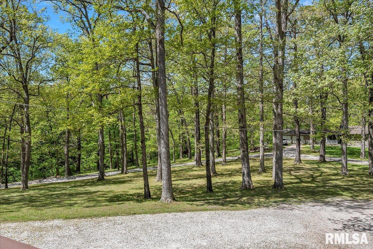 242 Stephenson Lane Dawson, IL 62520 - Photo 54 of 62