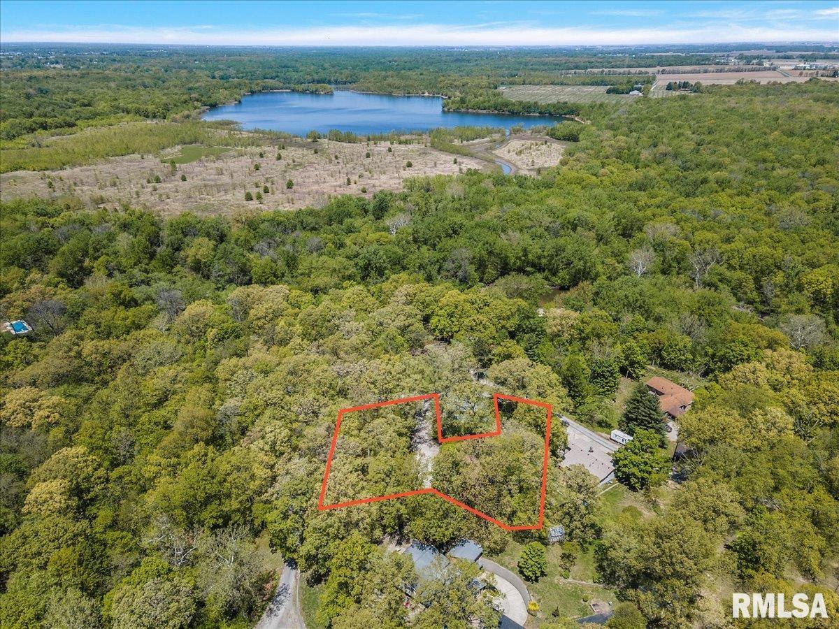 242 Stephenson Lane Dawson, IL 62520 - Photo 56 of 62