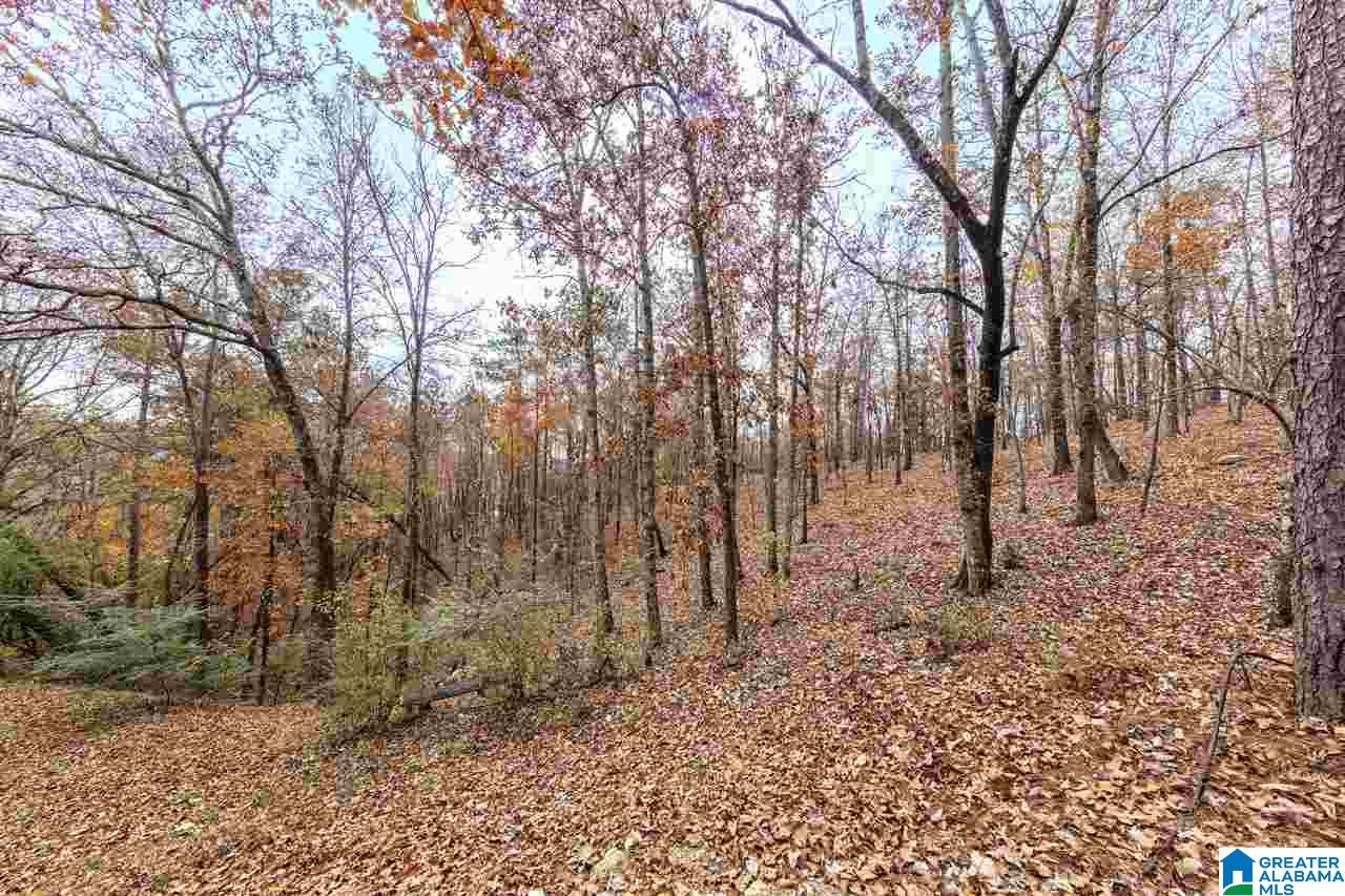 1041 Ryecroft Circle Pelham, AL 35124 - Photo 25 of 28