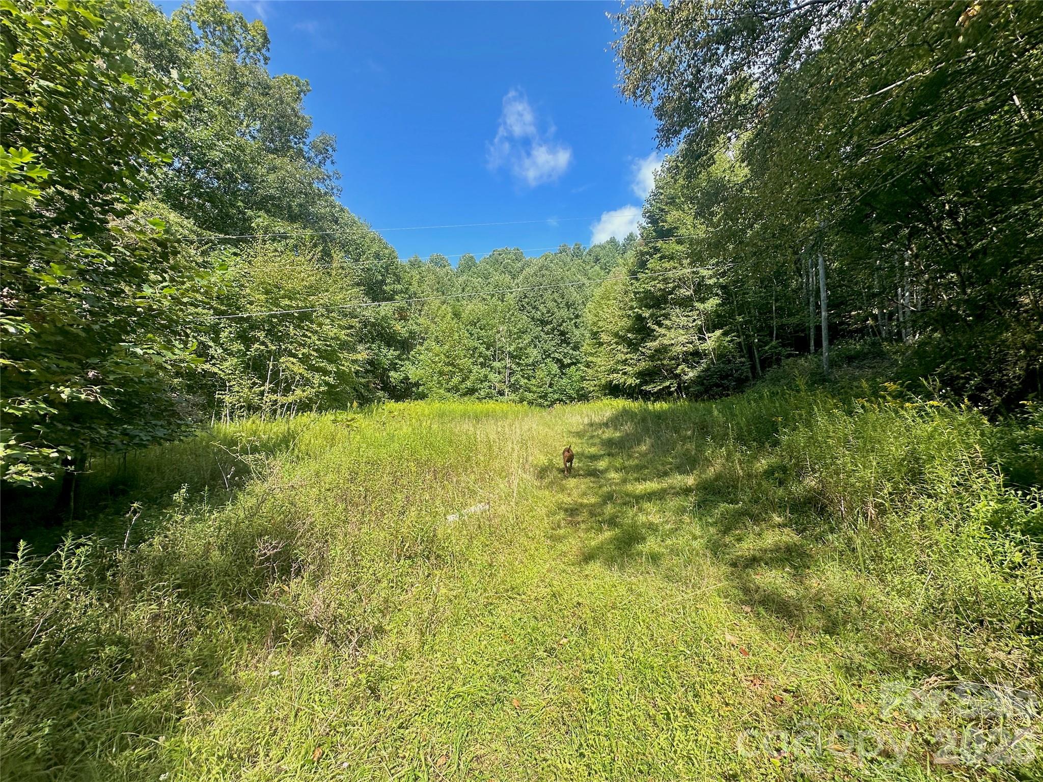 Tbd Old Anderson Quarry Road Vilas, NC 28692 - Photo 1 of 21
