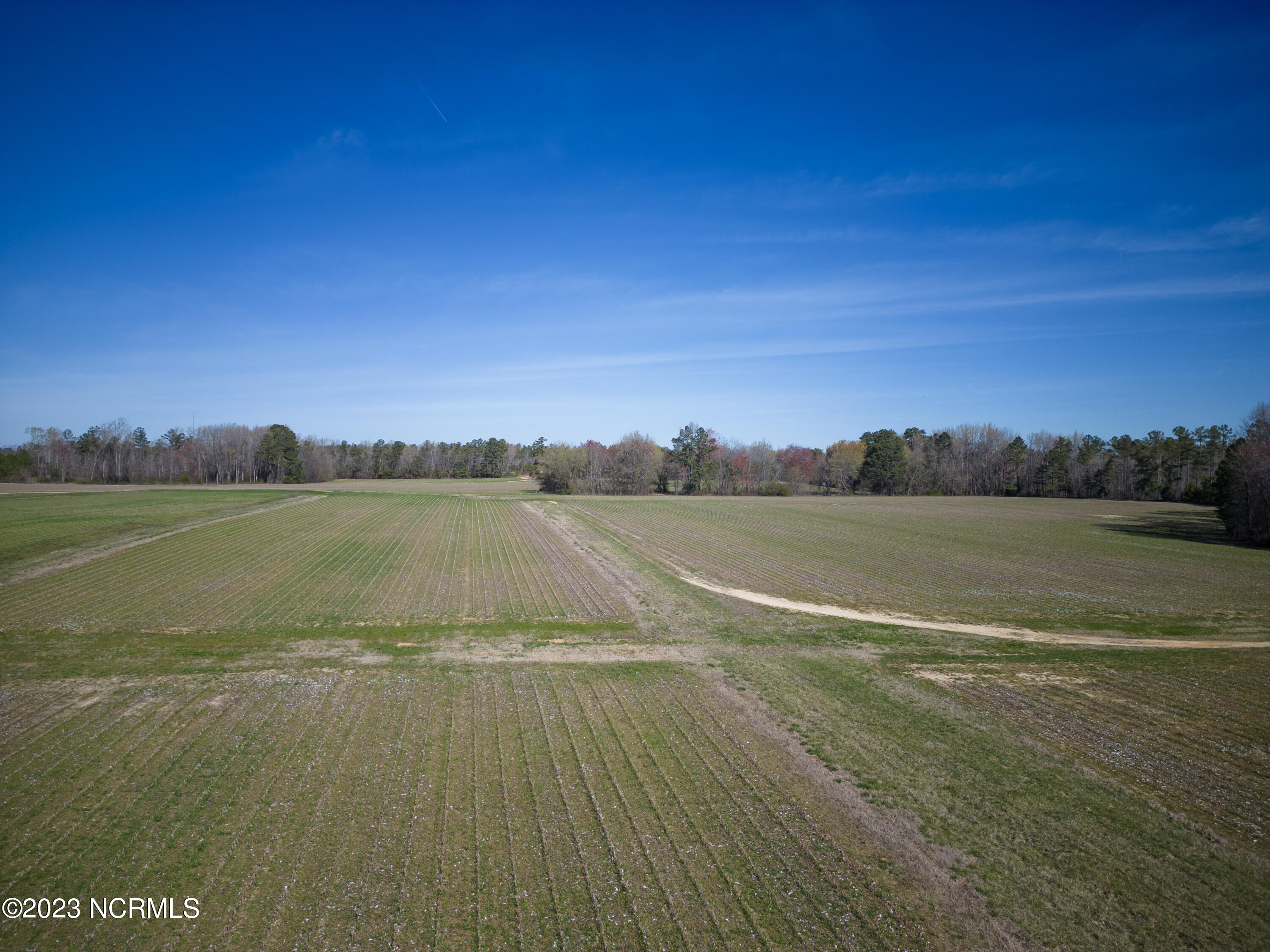 0 Cherry Tree Road Gaston, NC 27832 - Photo 2 of 18 Northampton 2