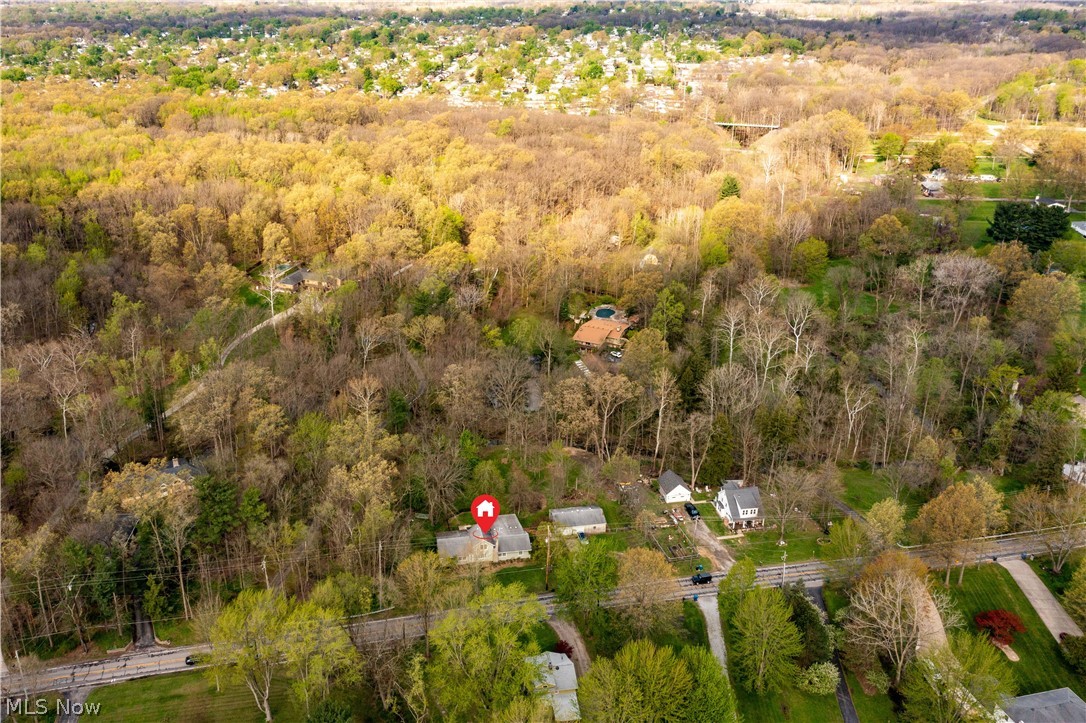 6066 Case Road North Ridgeville, OH 44039 - Photo 10 of 19 Aerial View