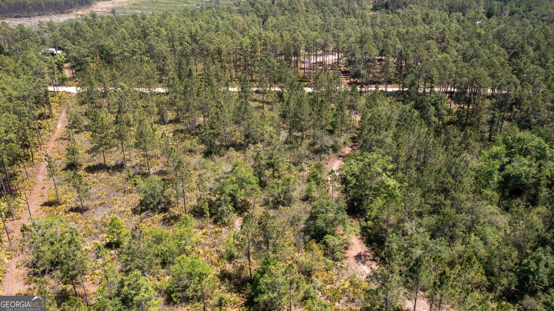 779 Ralph Davis Road, Unit 1 LAND LOT Folkston, GA 31537 - Photo 28 of 28 a view of a house with a lush green forest