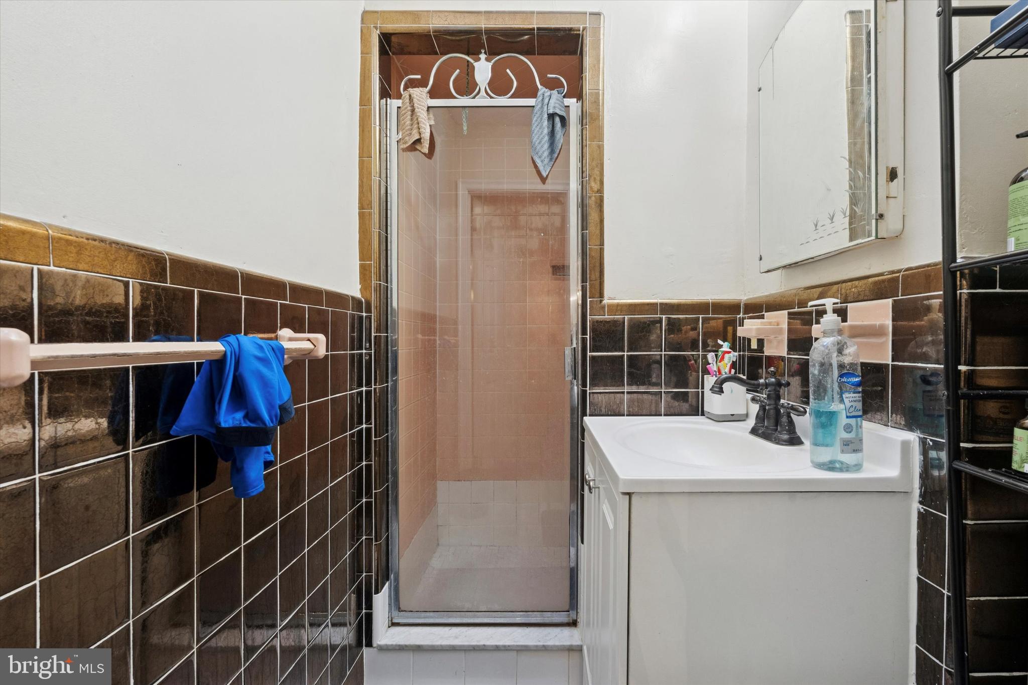 213 East Claremont Road Philadelphia, PA 19120 - Photo 18 of 25 a bathroom with a sink a mirror and shower