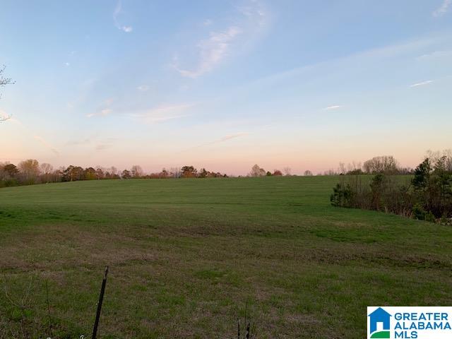 29 Highway Oneonta Al, Unit 70 Oneonta, AL 35121 - Photo 4 of 10