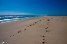 8 Stephen Decatur Highway Ocean City, MD 21842 - Photo 14 of 18 view of beach and ocean