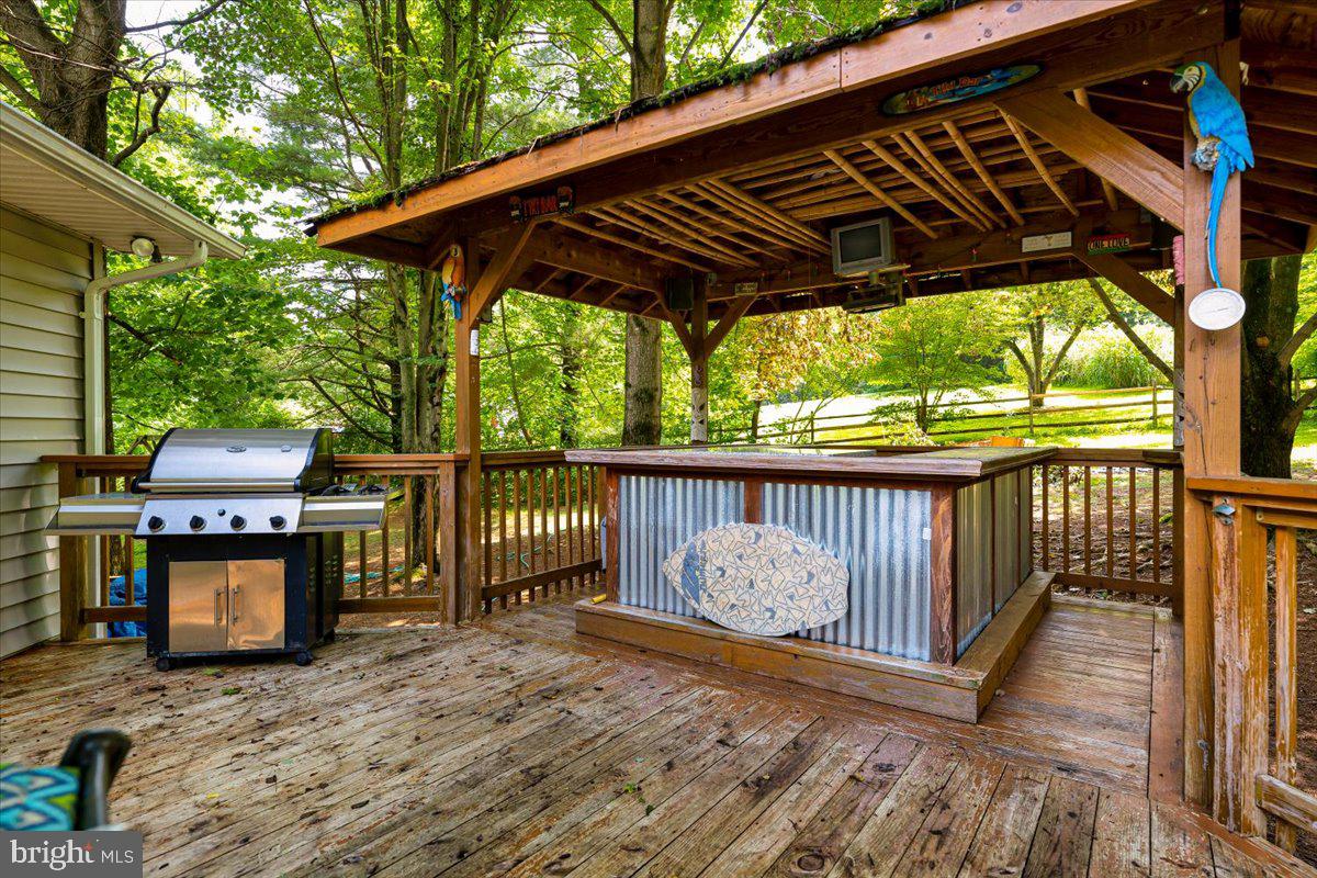 4224 Roop Road Mount Airy, MD 21771 - Photo 44 of 57 TIKI BAR