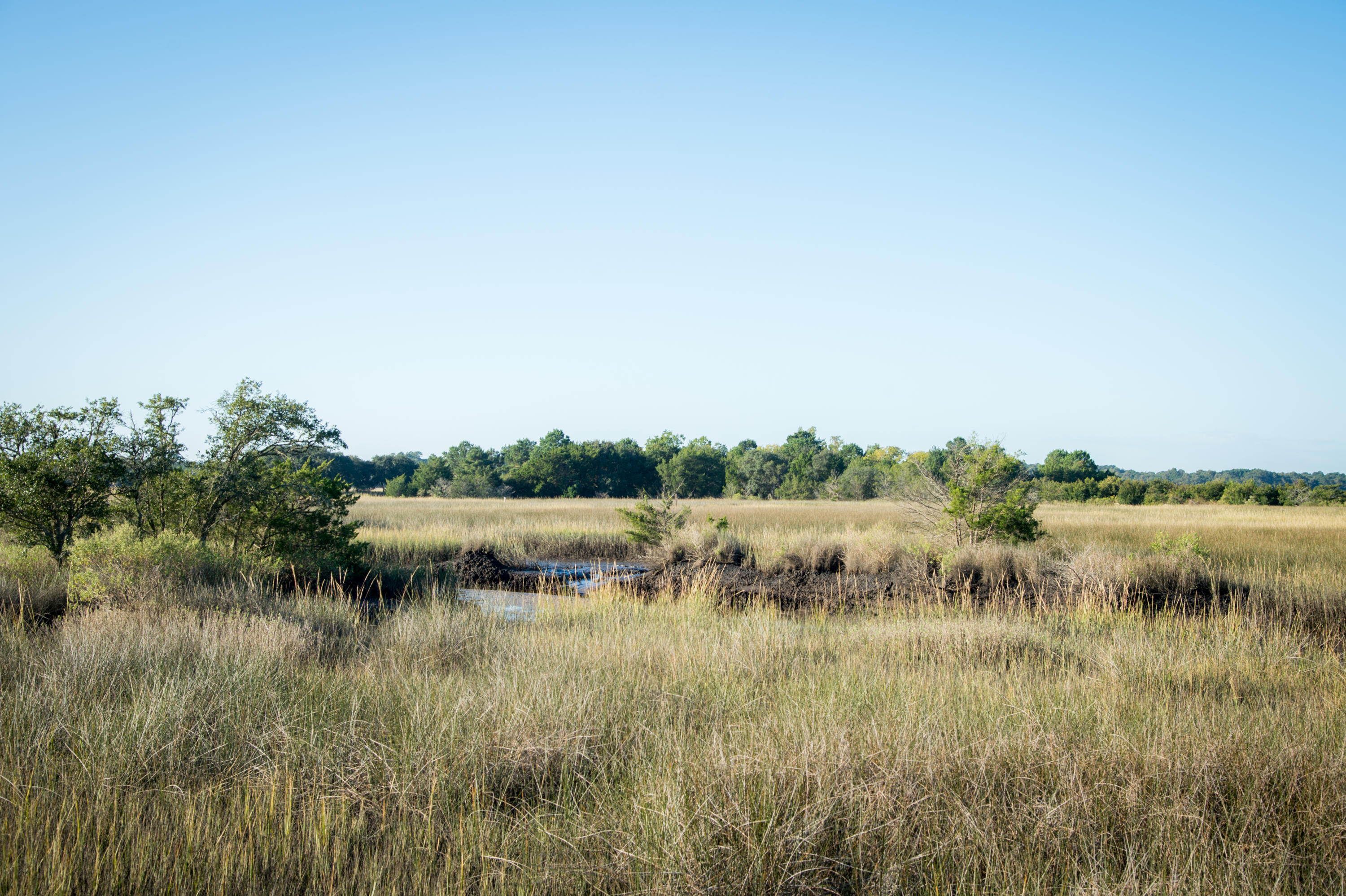 3879 James Bay Road Johns Island, SC 29455 - Photo 3 of 40 3879 James Bay Road High Res-61