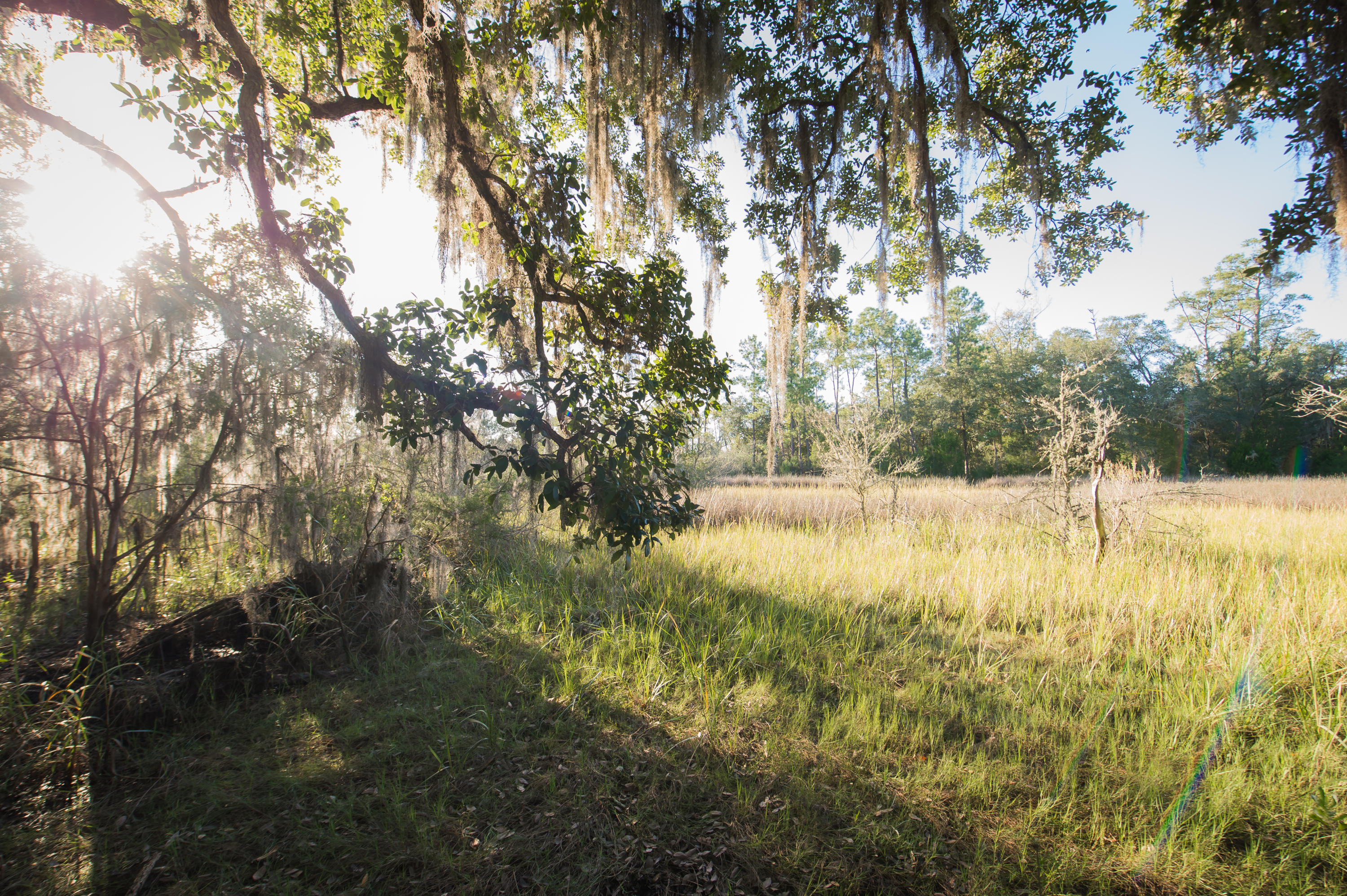 3879 James Bay Road Johns Island, SC 29455 - Photo 40 of 40 3879 James Bay Road High Res-58