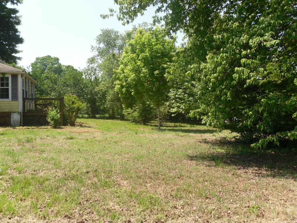 548 Highway 304 Decatur, TN 37322 - Photo 4 of 20 548 Hwy 304 (24)