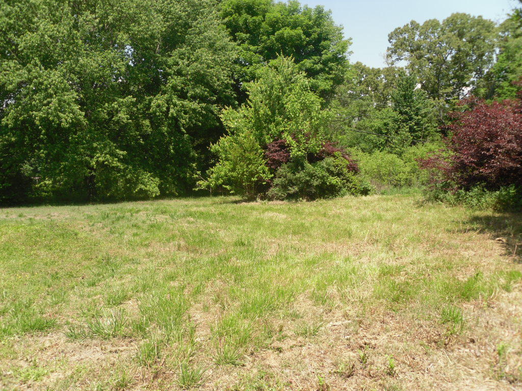 548 Highway 304 Decatur, TN 37322 - Photo 6 of 20 548 Hwy 304 (28)