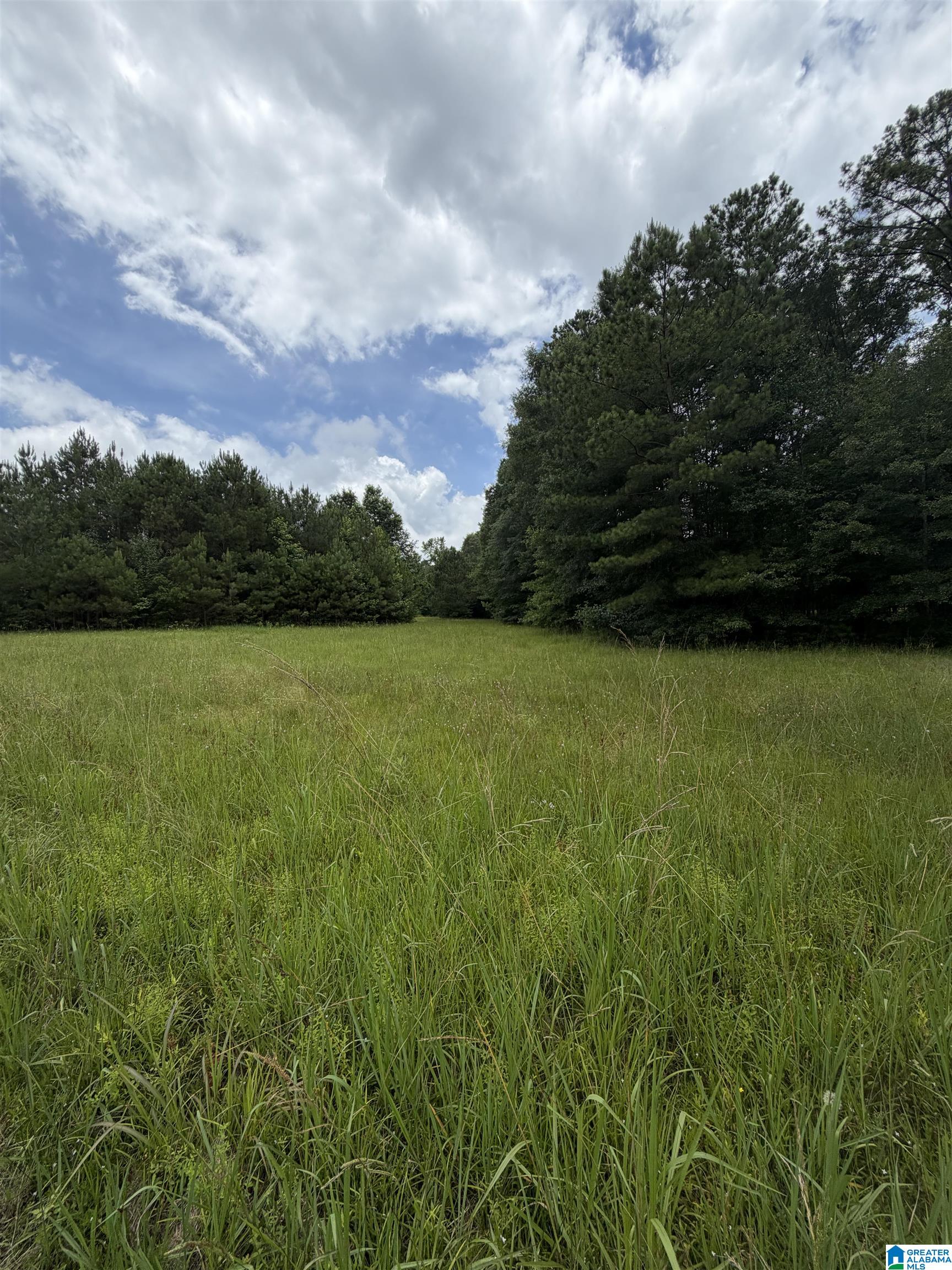 0 Hall Burton Road, Unit 1 Sumiton, AL 35148 - Photo 3 of 10