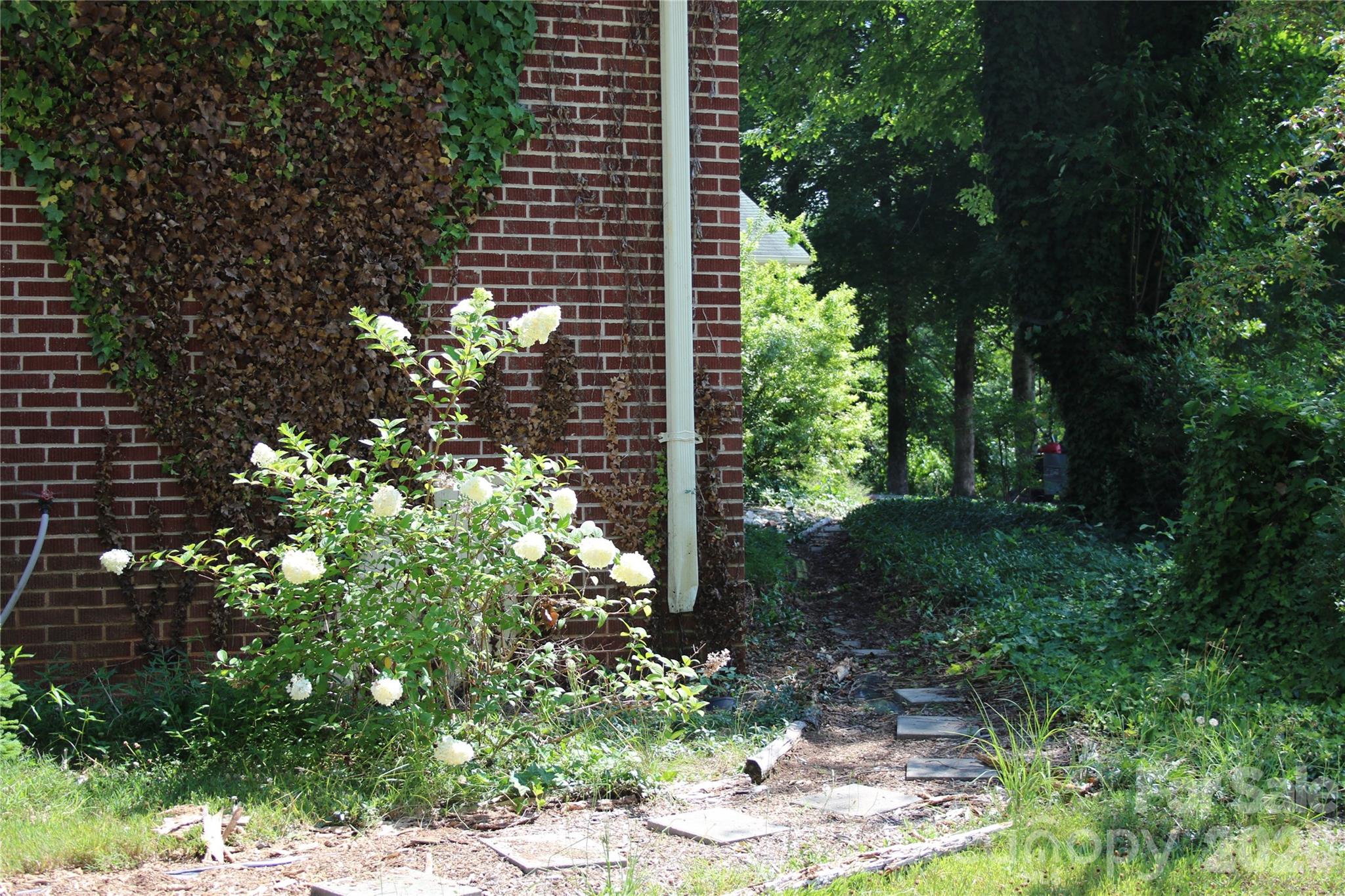 571 Piedmont Road Rutherfordton, NC 28139 - Photo 31 of 48