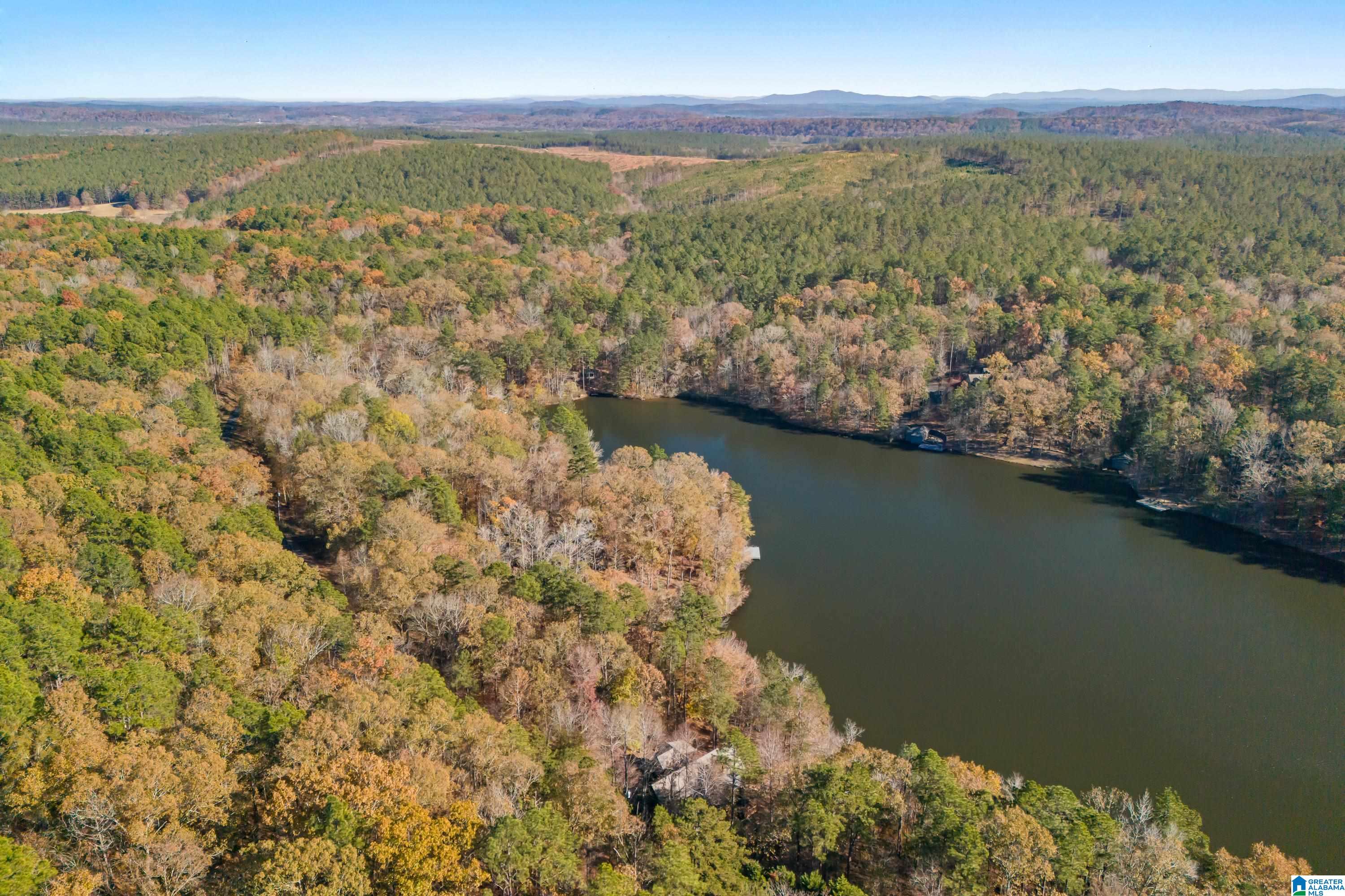 0 Pumpkin Hollow Road Sterrett, AL 35147 - Photo 46 of 55