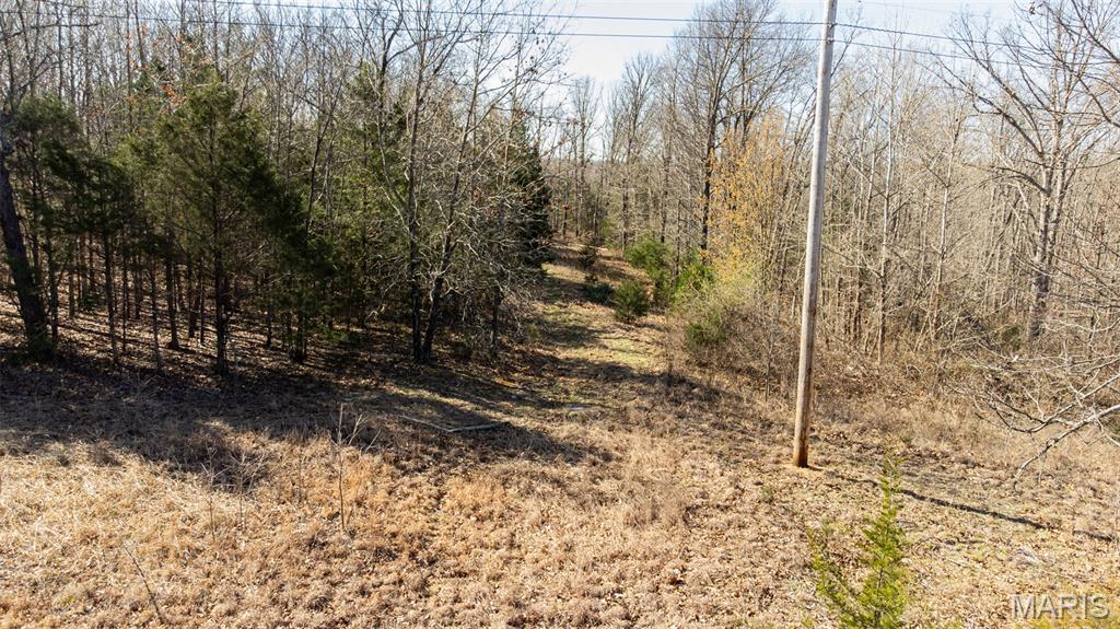 10540 Arlington Outer Road Newburg, MO 65550 - Photo 3 of 11