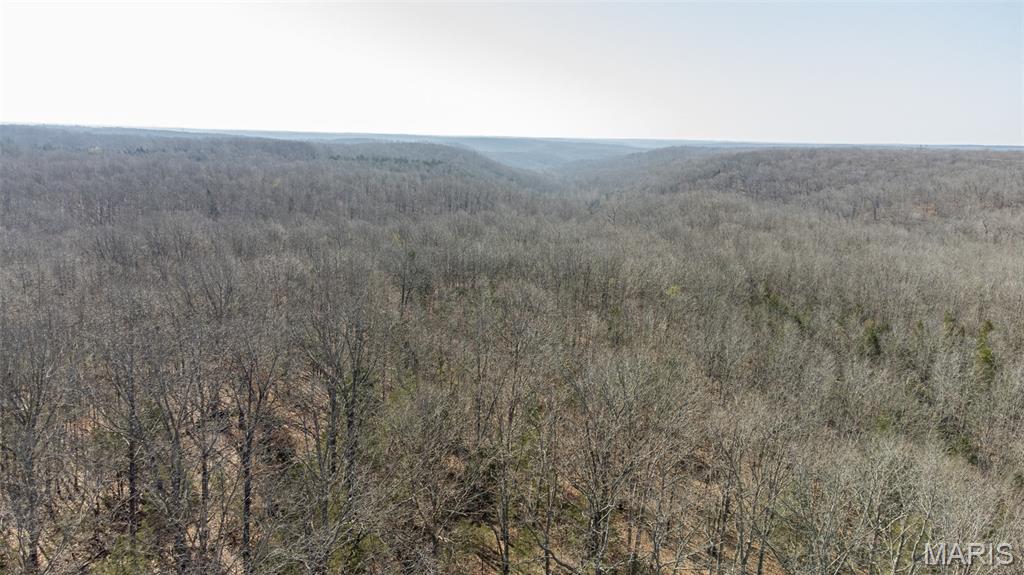 10540 Arlington Outer Road Newburg, MO 65550 - Photo 10 of 11