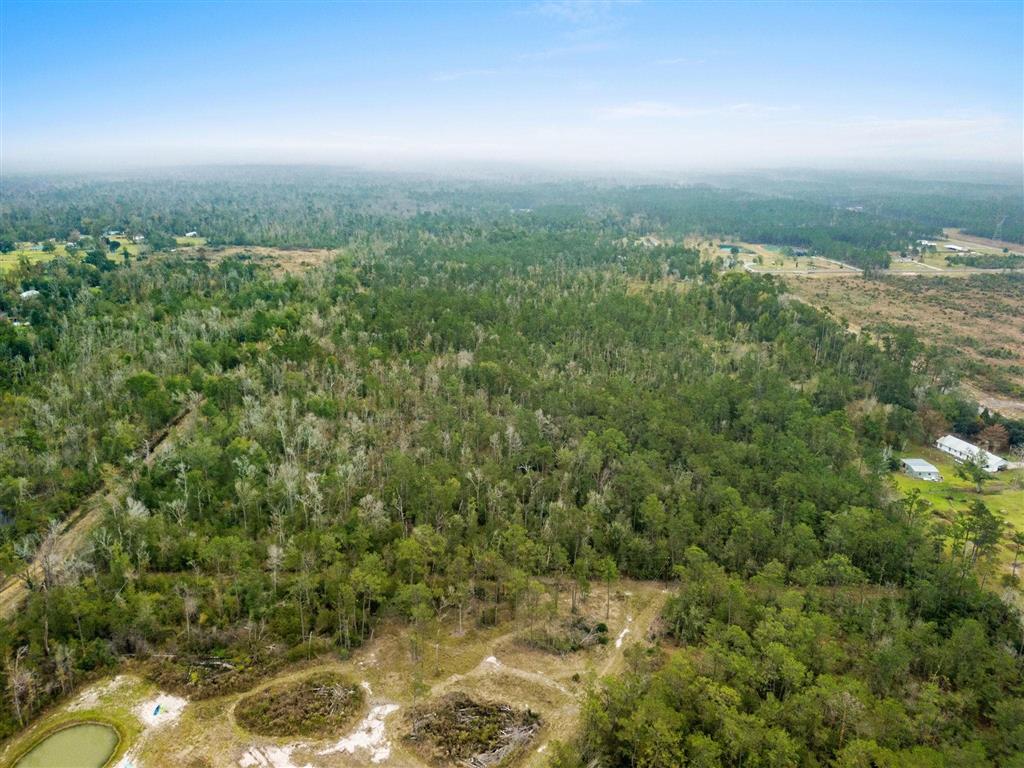 0 Woods Road Vinton, LA 70668 - Photo 6 of 9