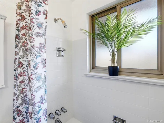 a potted plant in front of a bathroom