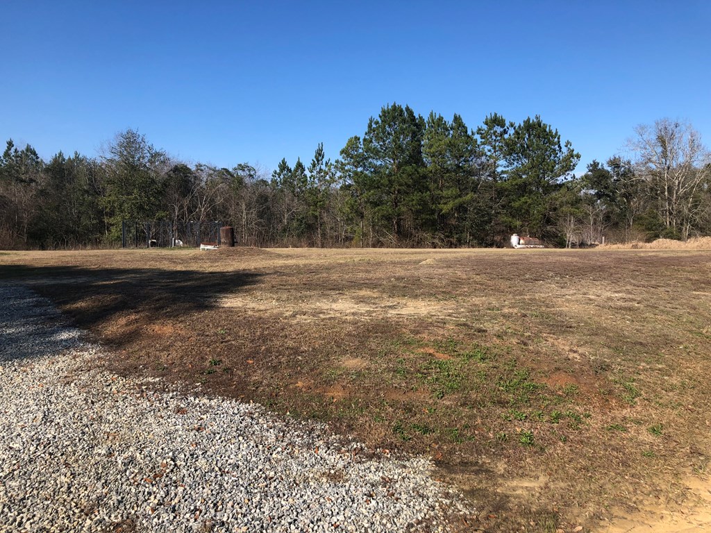 3912 New Hinson Road Slocomb, AL 36375 - Photo 7 of 11