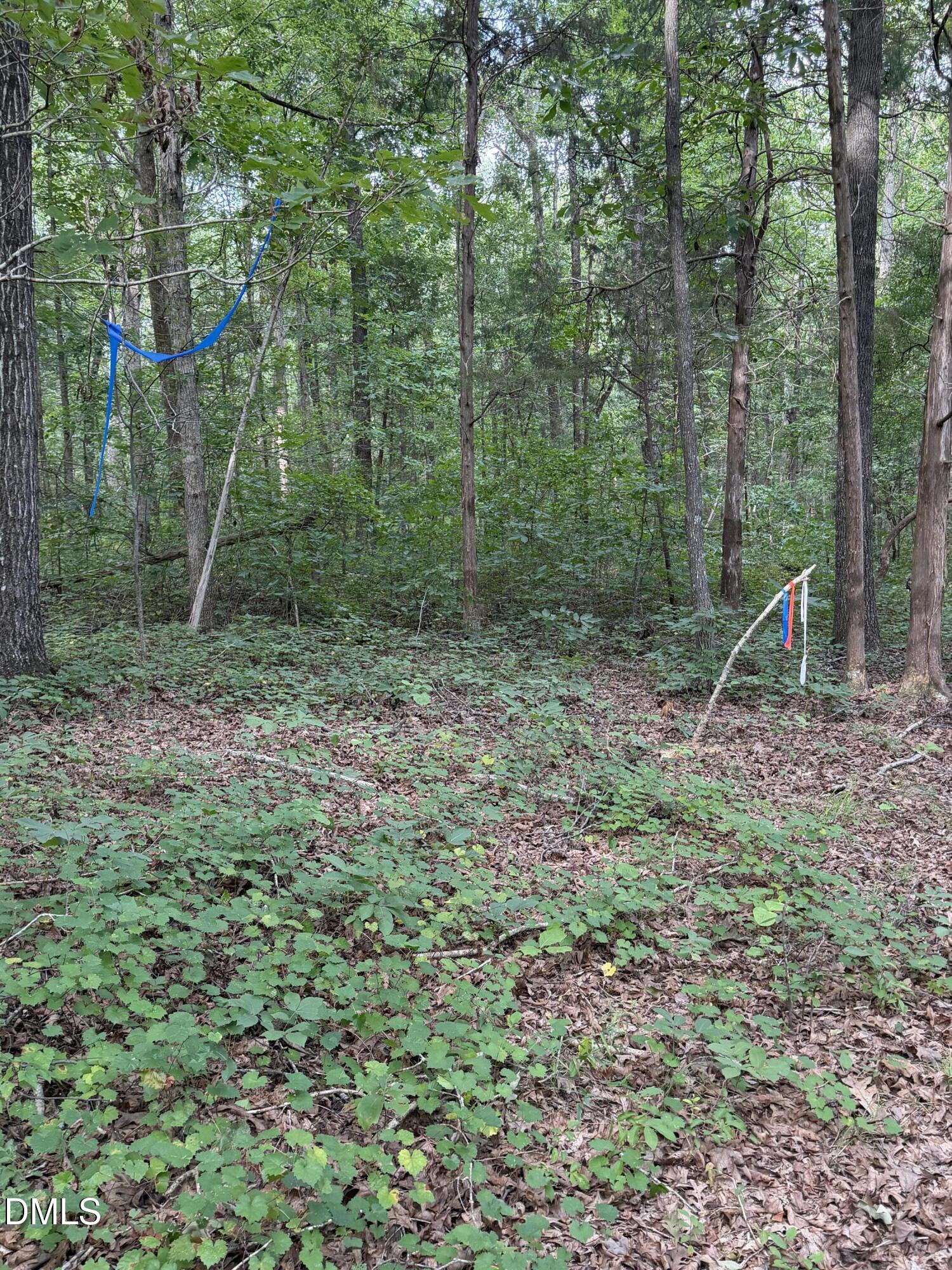 0 Chatham Church Road Moncure, NC 27559 - Photo 13 of 17 IMG_8913