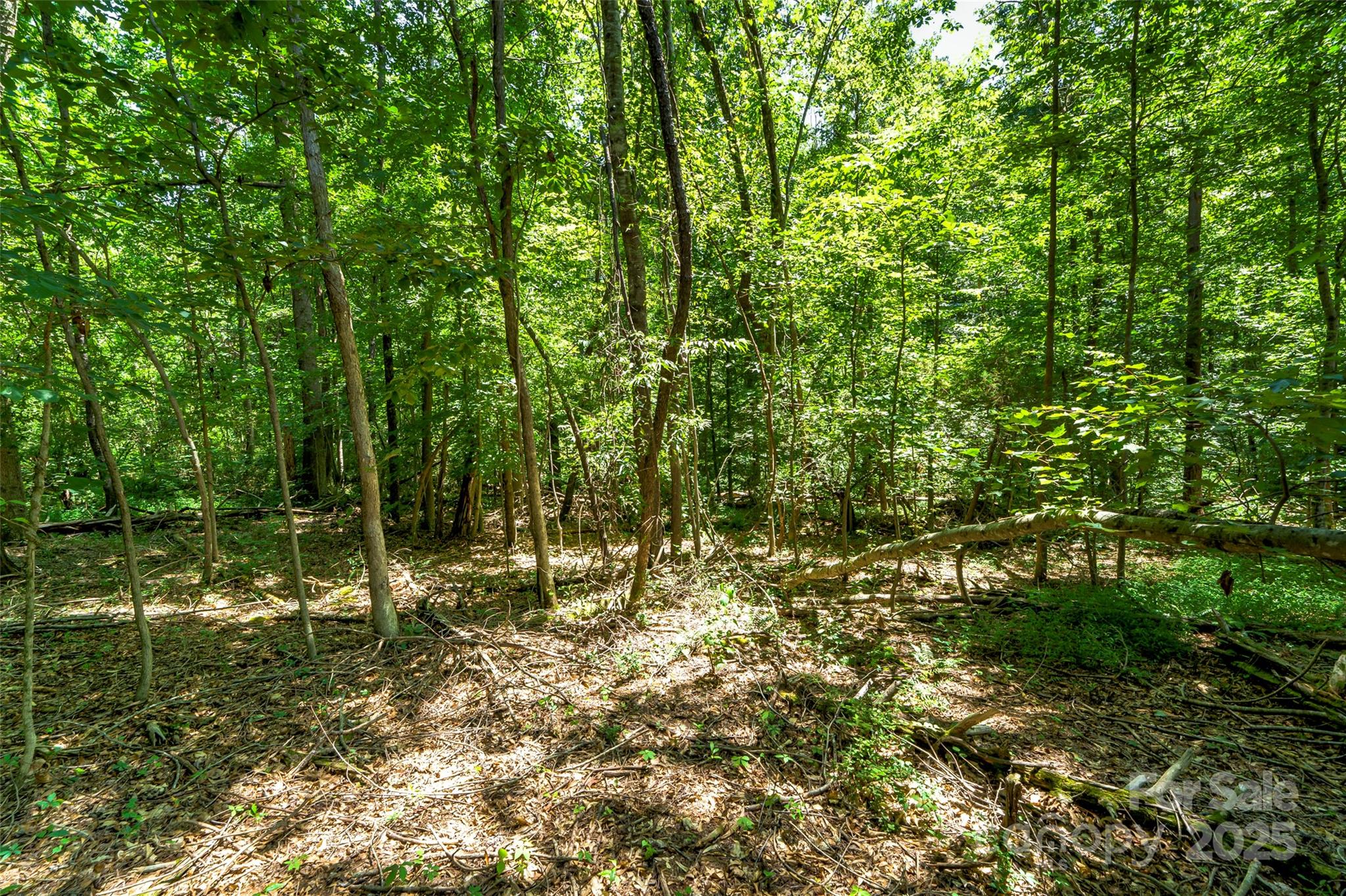0 Setzer Drive Morganton, NC 28655 - Photo 2 of 9 a view of yard