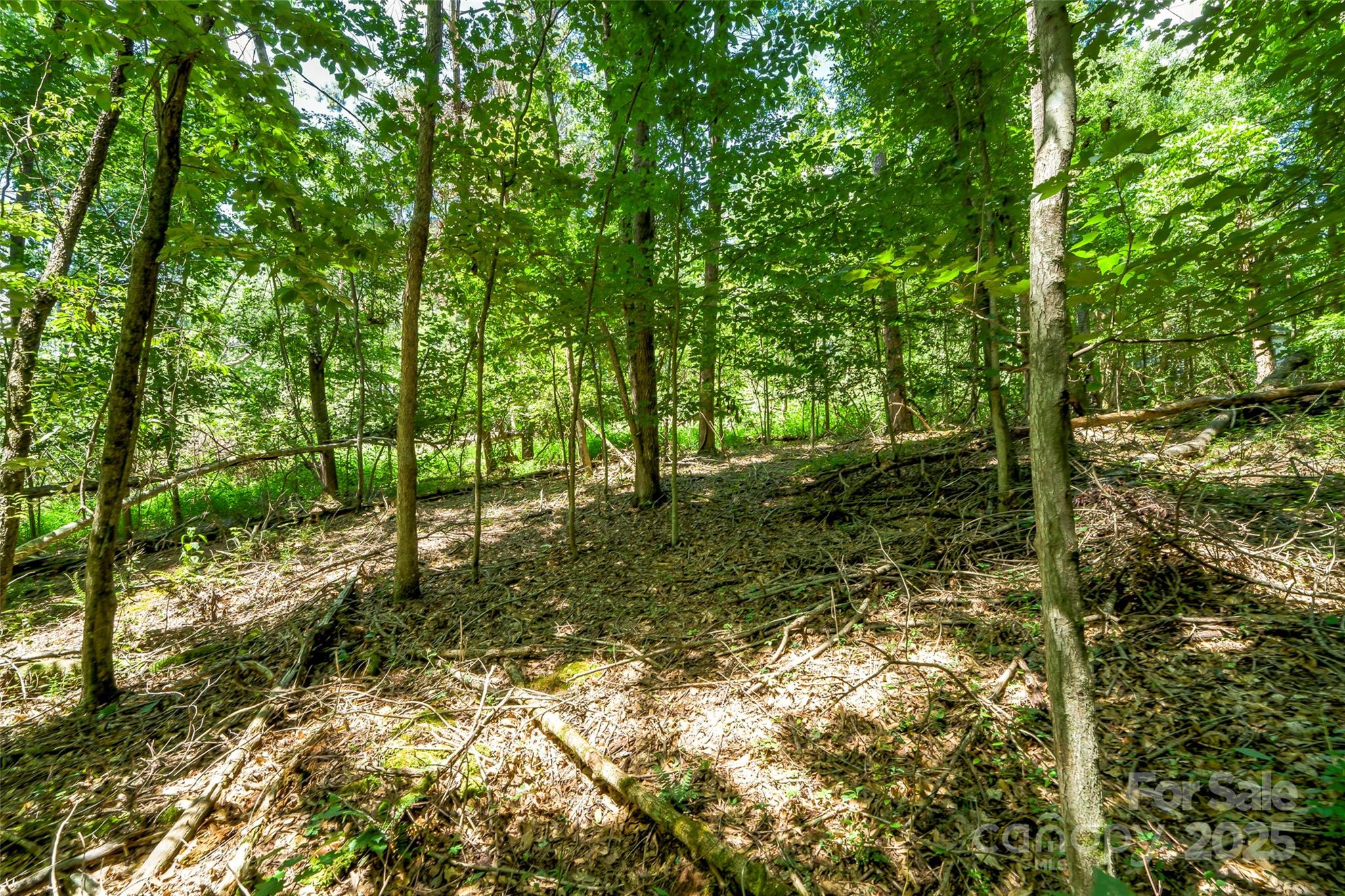 0 Setzer Drive Morganton, NC 28655 - Photo 3 of 9 a view of outdoor space and trees