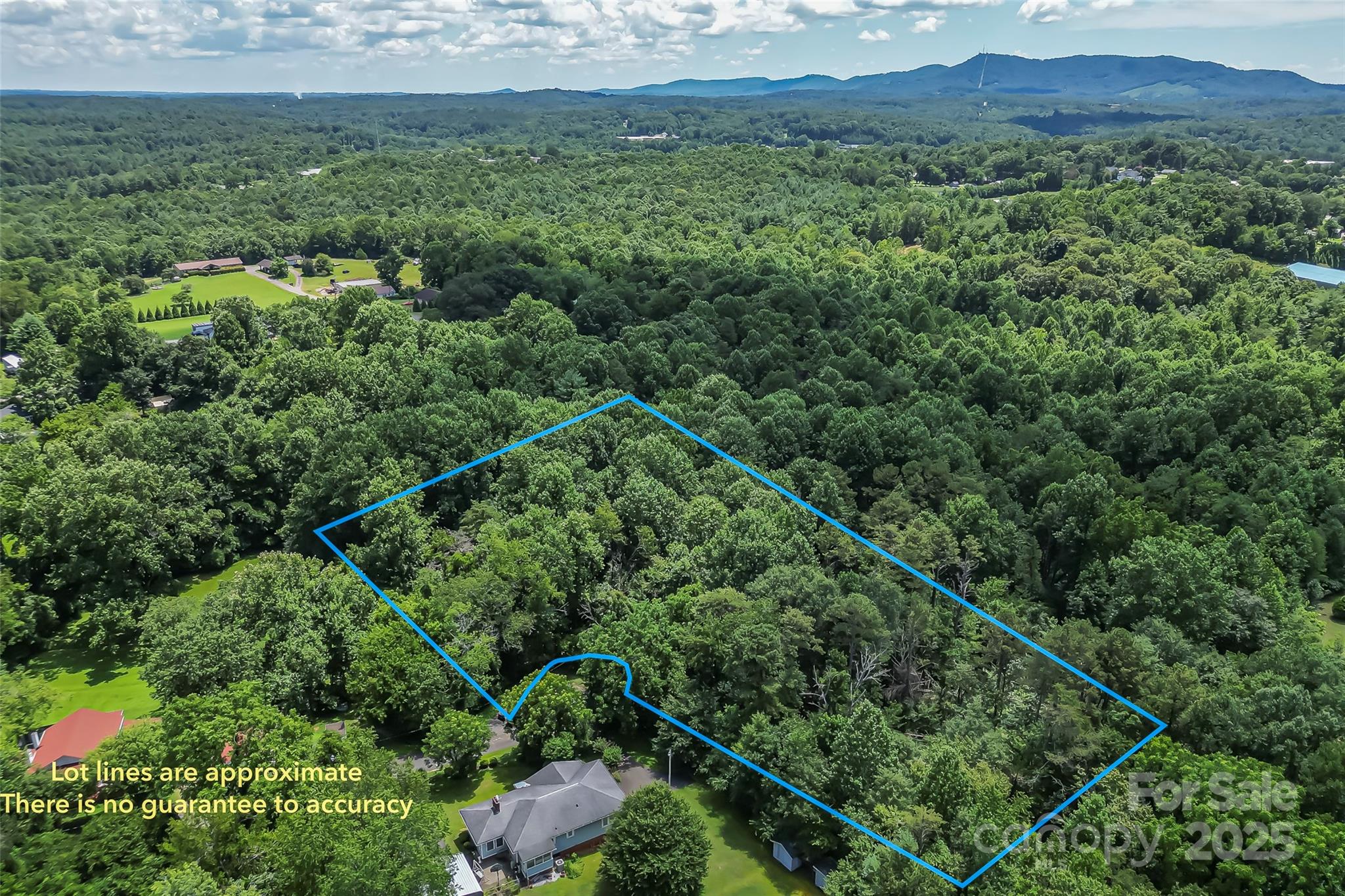 0 Setzer Drive Morganton, NC 28655 - Photo 7 of 9 a view of a forest with a lush green forest